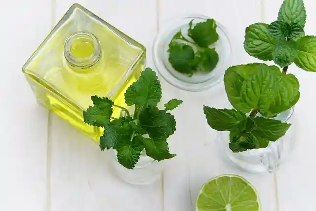 mint oil for acne