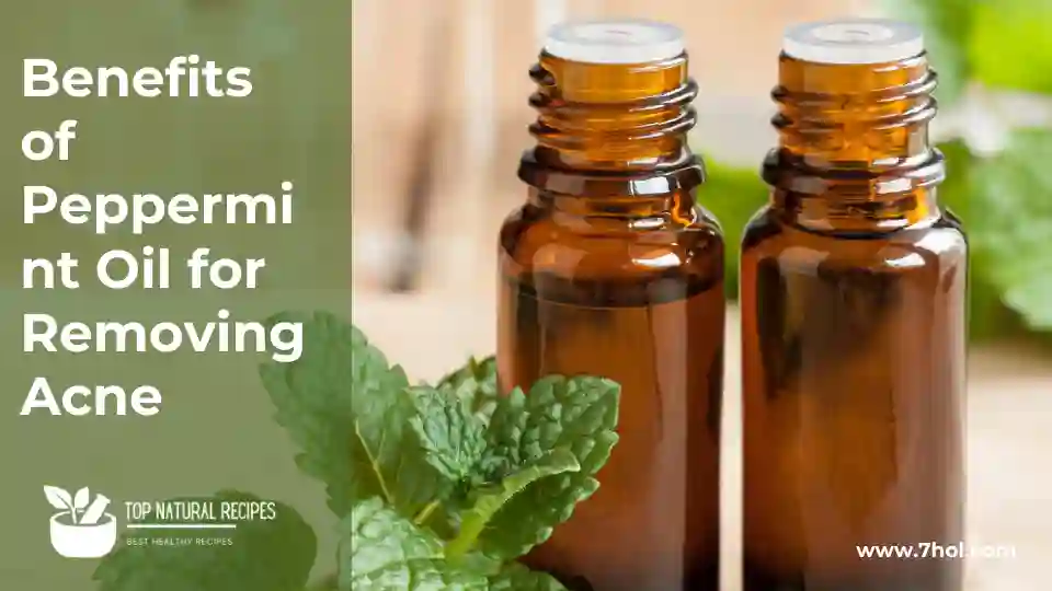 How to Make Peppermint Oil